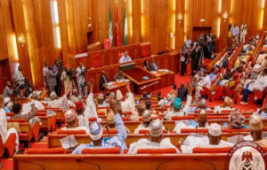 Senate-Nigeria-2