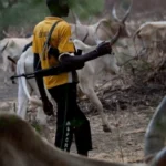herdsmen-1536x711