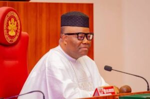 images - 2026-03-01T095949.304