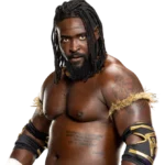 US HAILS NIGERIAN-BORN OBA FEMI AFTER BROCK LESNAR DEFEAT